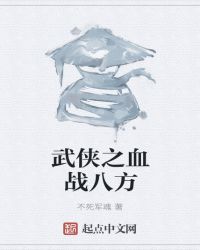 武侠之血战八方