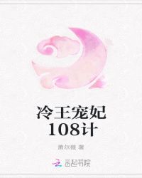 冷王宠妃108计