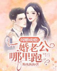 闪婚成瘾：二婚老公哪里跑