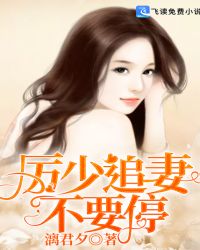 厉少追妻不要停