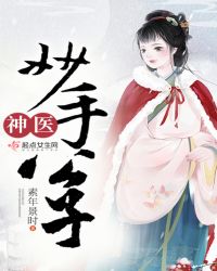 神医妙手公子