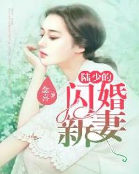 陆少的闪婚新妻