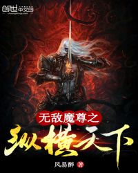 无敌魔尊之纵横天下