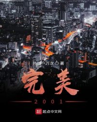 完美2001