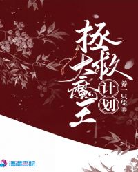 拯救大魔王计划