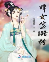 婢女宝璐传