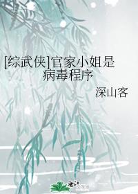 [综武侠]官家小姐是病毒程序