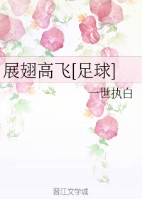 展翅高飞[足球]